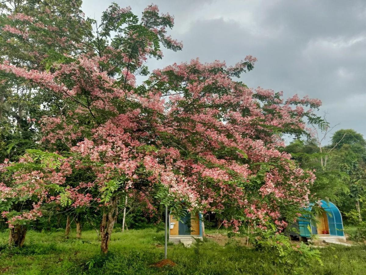 Forest Breath Eco-Lodge กั๊ตเตียน ภายนอก รูปภาพ
