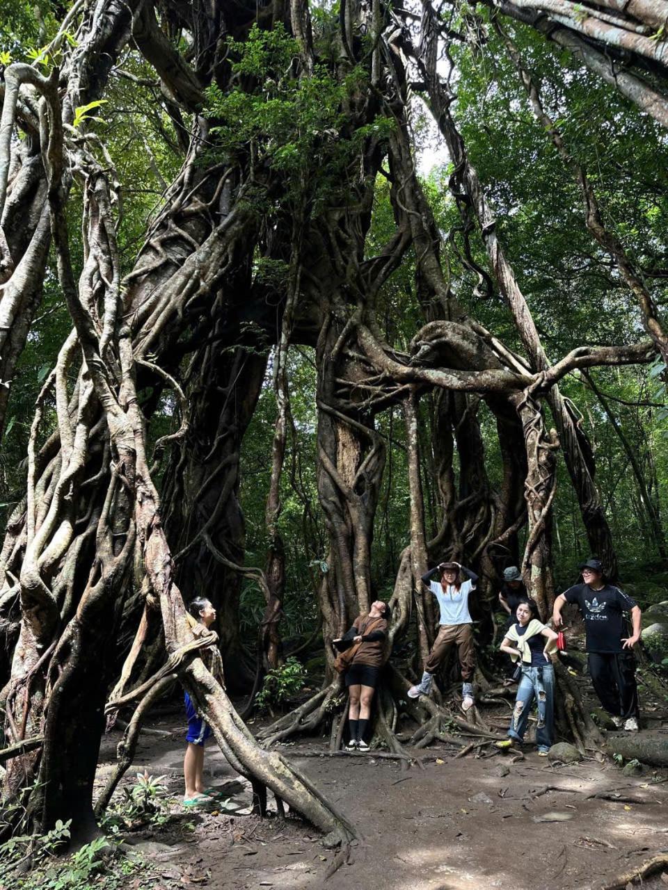 Forest Breath Eco-Lodge กั๊ตเตียน ภายนอก รูปภาพ
