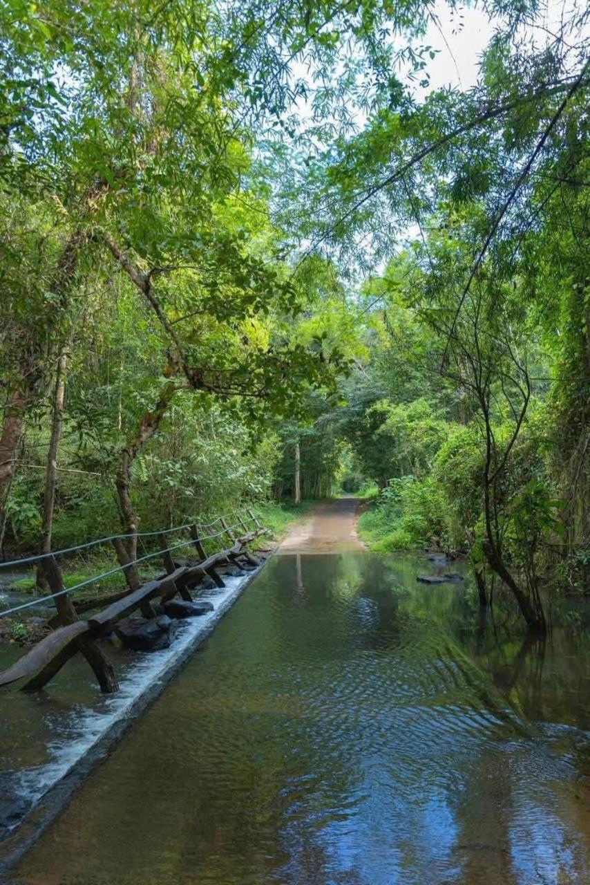 Forest Breath Eco-Lodge กั๊ตเตียน ภายนอก รูปภาพ